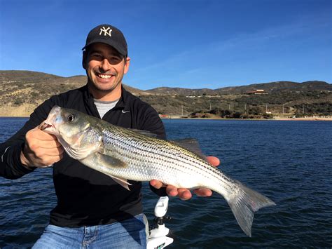 Guide: Fishing Castaic Lake .